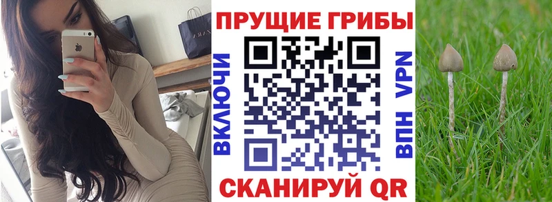 Галлюциногенные грибы GOLDEN TEACHER  Кологрив 